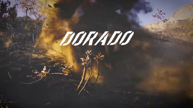 Dorado 